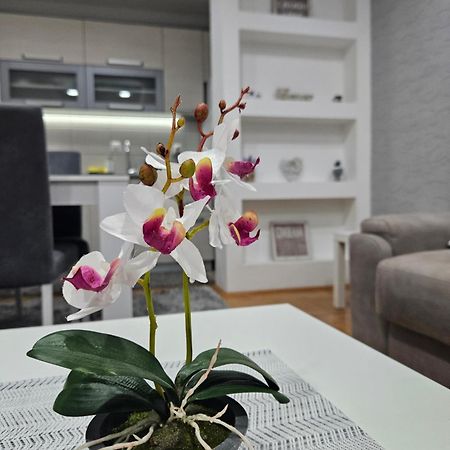 Apartman Vukota Pirot Bagian luar foto